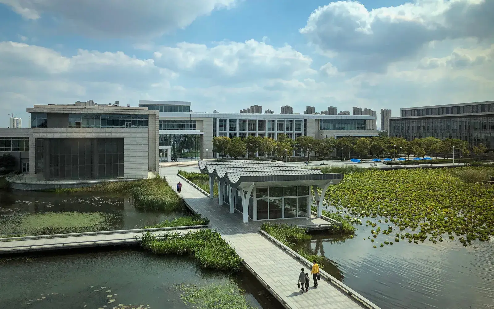 Пруд с лотосами и учебные корпуса в кампусе Duke Kunshan University