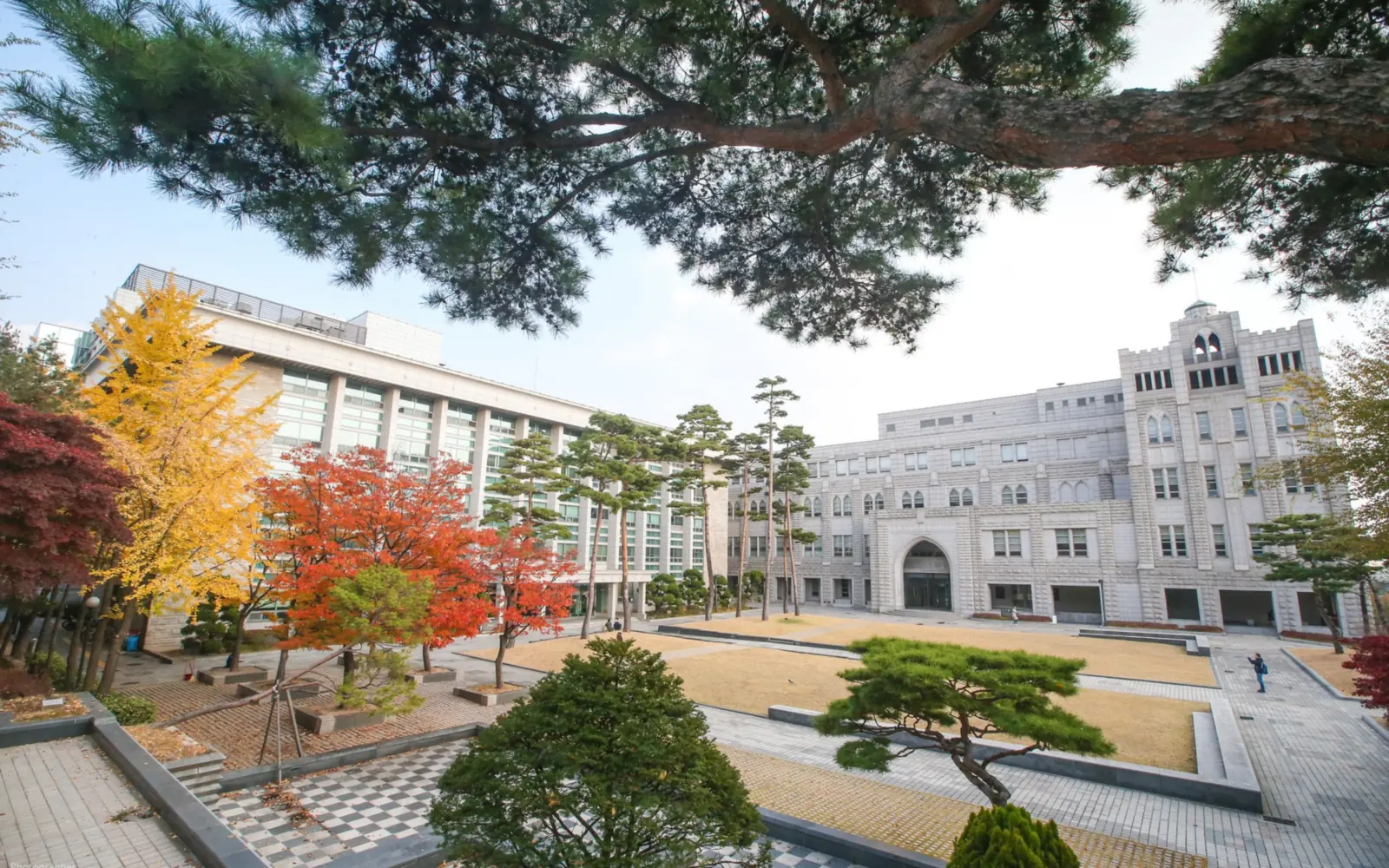 Корпуса бизнес-школы Korea University в Сеуле осенью