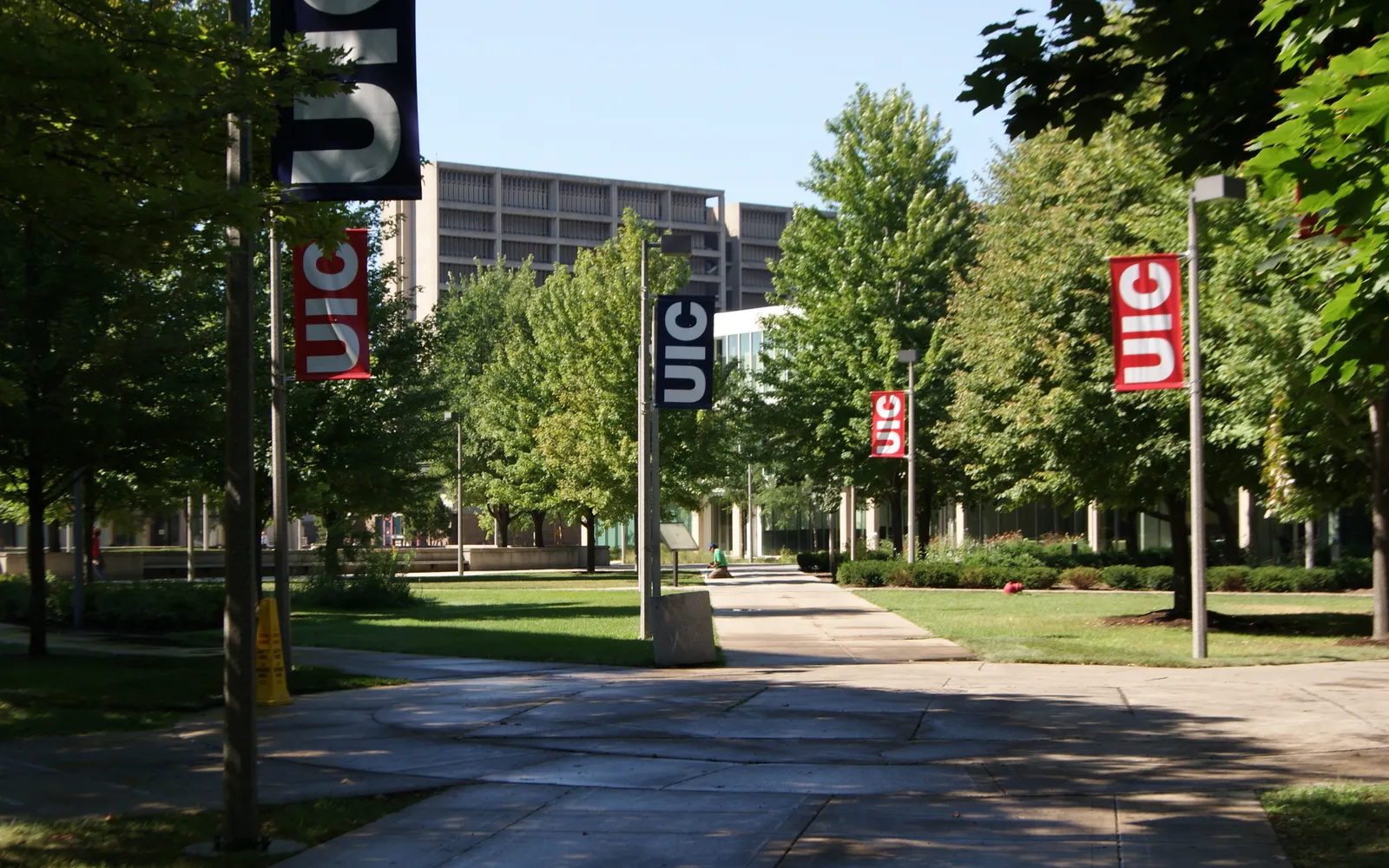 Аллея с флагами UIC в кампусе University of Illinois Chicago