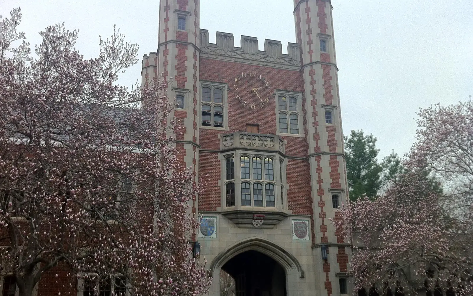 Часовая башня Trinity College в Хартфорде и цветущие магнолии